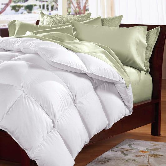 Renee Taylor Australian Pure Merino Wool Quilt 550 GSM King Bed